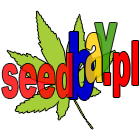 seedbay