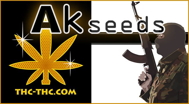 akseeds, nasiona marihuany, nasiona konopi, sklep, thc-thc