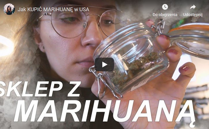 Ameryka, USA, jak kupić, dostać, nabyć, marihuanę, marihuana, cannabis