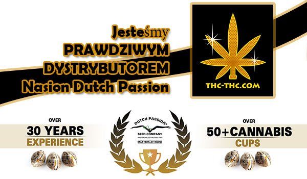 dystrybutor, dutch passion, nasiona marihuany, konopi