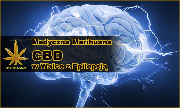 Medyczna Marihuana, CBD, Walce, Epilepsja